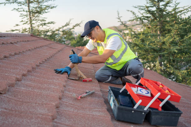 Best Sealant for Roof  in Lake Wazeecha, WI